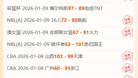 《每日電訊報》曝：切爾西高層與球迷交流不畅